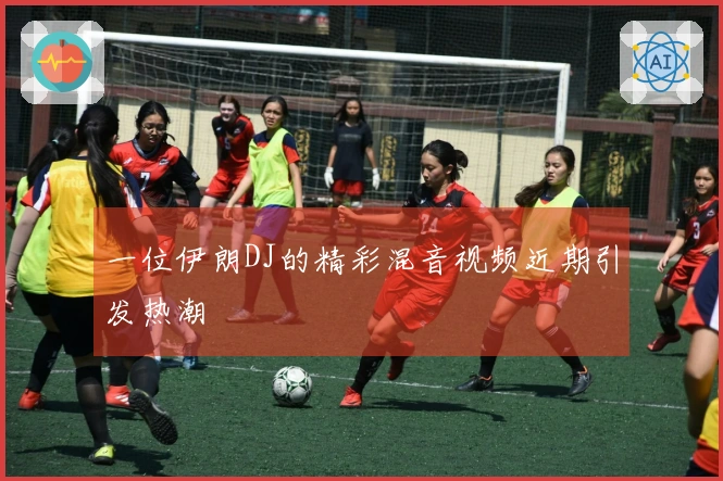 一位伊朗DJ的精彩混音视频近期引发热潮