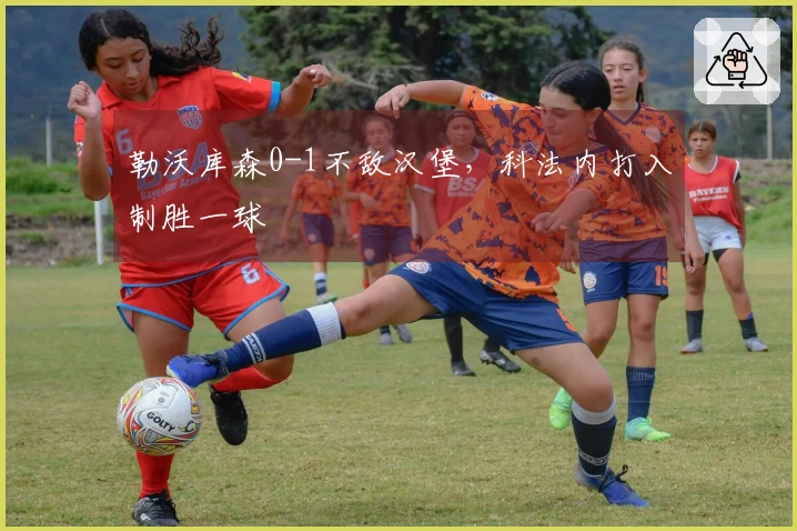 勒沃库森0-1不敌汉堡，科法内打入制胜一球