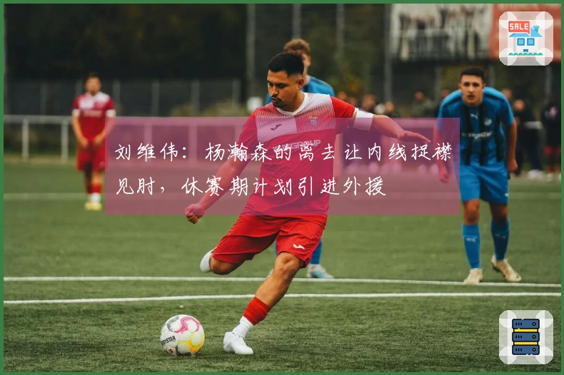 刘维伟：杨瀚森的离去让内线捉襟见肘，休赛期计划引进外援