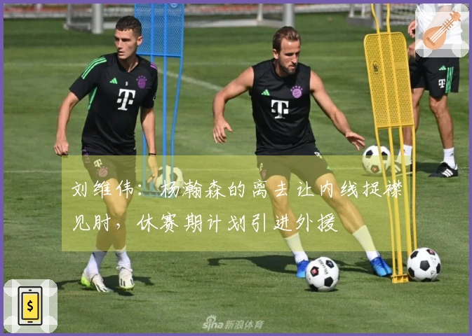 刘维伟：杨瀚森的离去让内线捉襟见肘，休赛期计划引进外援
