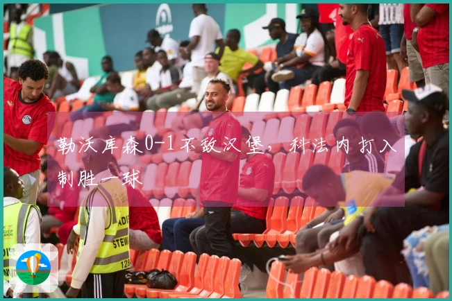 勒沃库森0-1不敌汉堡，科法内打入制胜一球